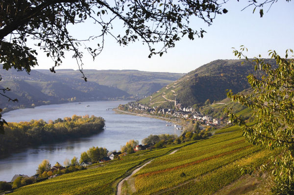 Rheingau
