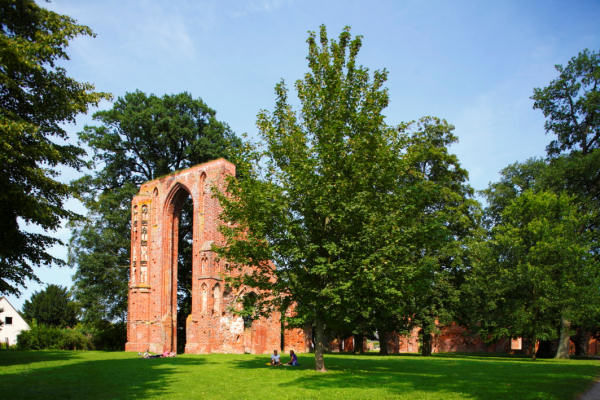 Klosterruine Eldena in Greifswald