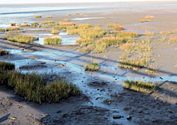 Strand in Dorum-Neufeld