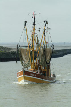 Krabbenkutter Ostfriesland