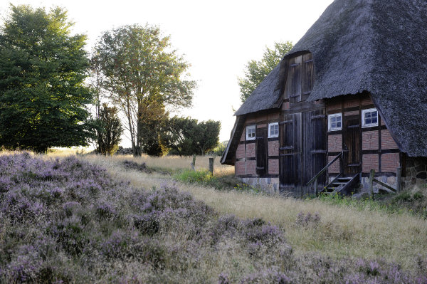 Lneburger Heide