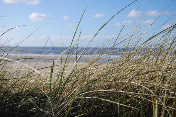 Strand Spiekeroog