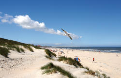 Strand auf Baltrum