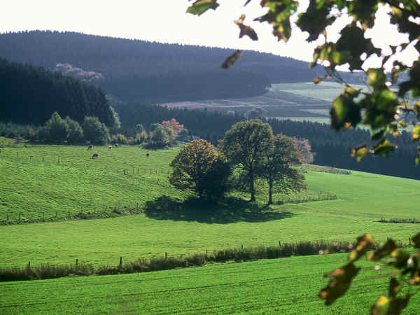 Sauerland