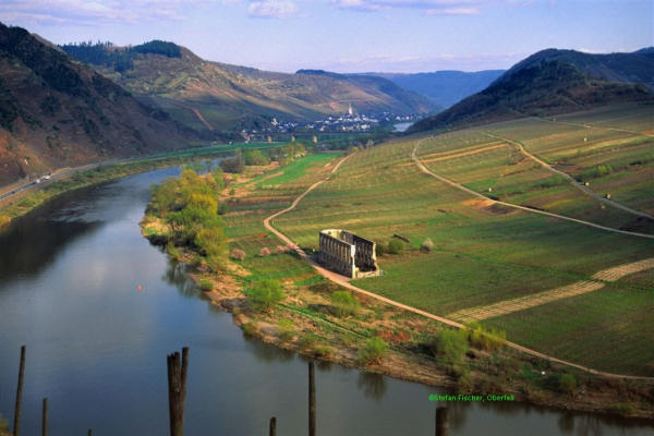 Mosel