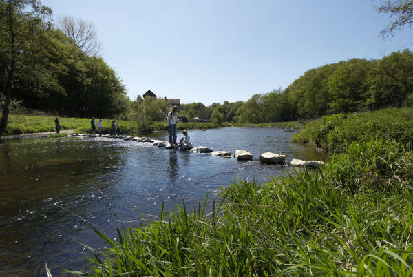 Die Nister im Westerwald