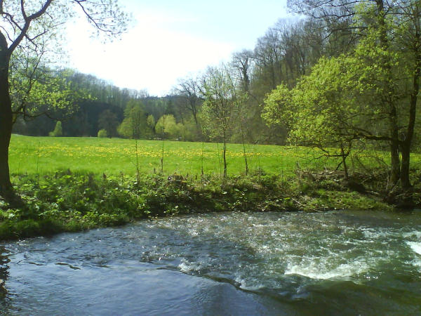 Hohenlohe - Bühlertal