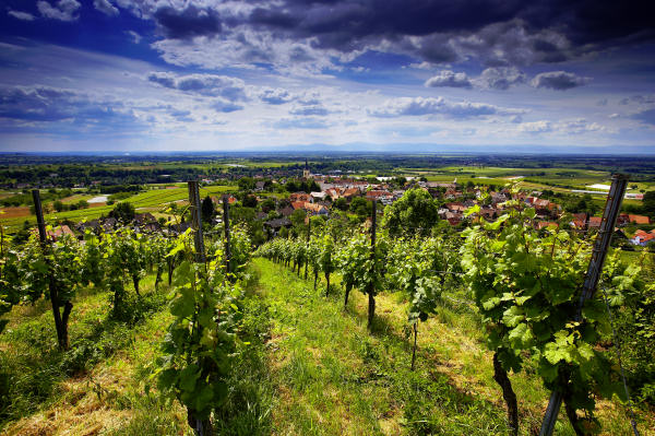 Markgräflerland